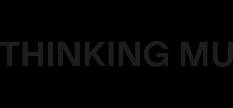 Thinking Mu